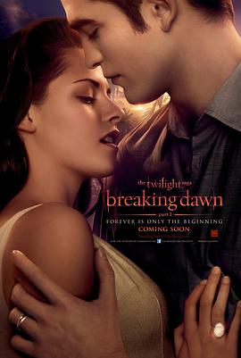 雾港回响海报